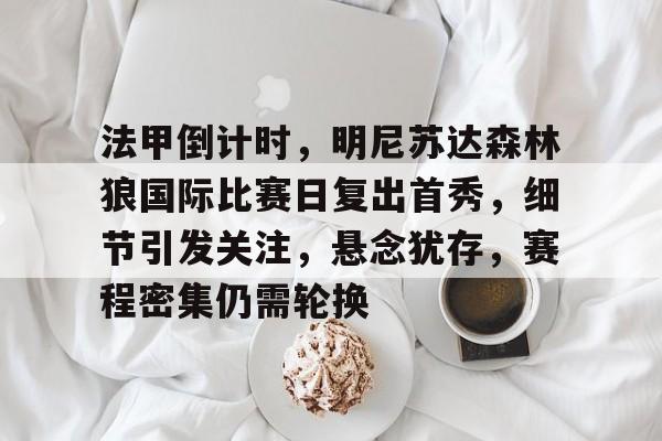 爱游戏APP-关于法甲倒计时，明尼苏达森林狼国际比赛日复出首秀，细节引发关注，悬念犹存，赛程密集仍需轮换的信息